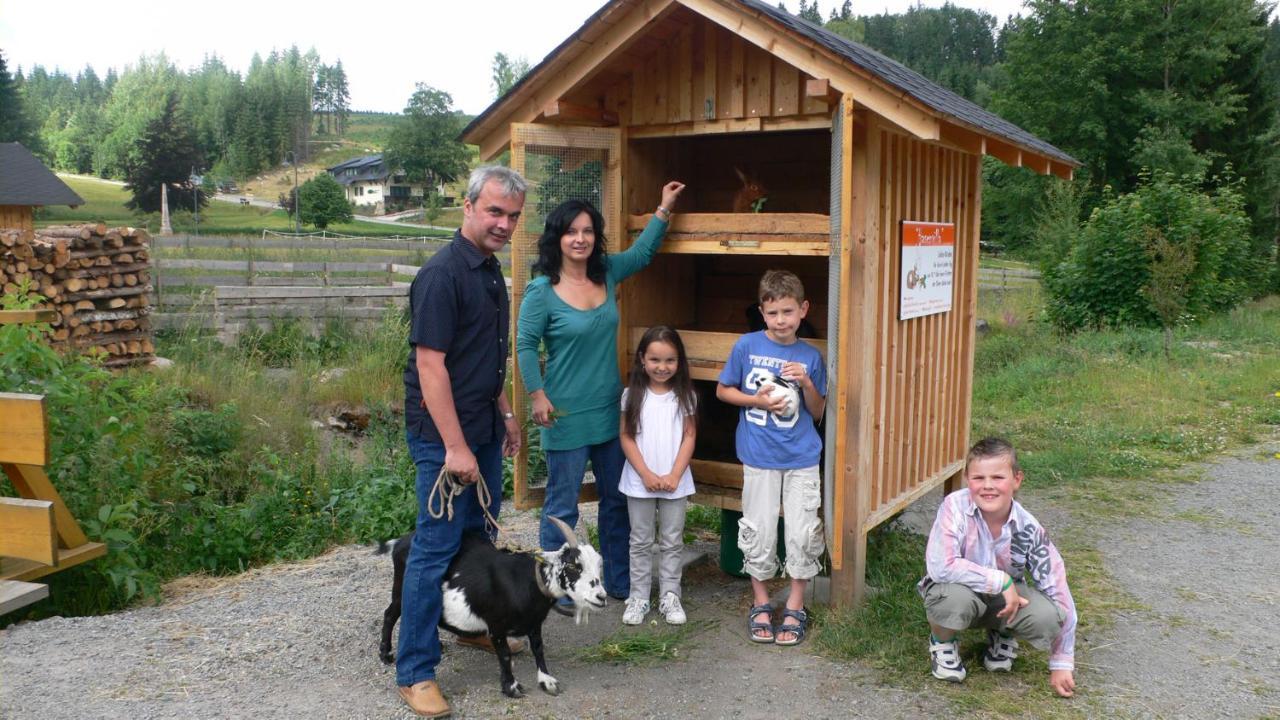 Alte Schleiferei Hotell Breitenbrunn  Exteriör bild